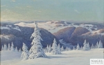 Black Forest Landscape in Winter_du.jpg